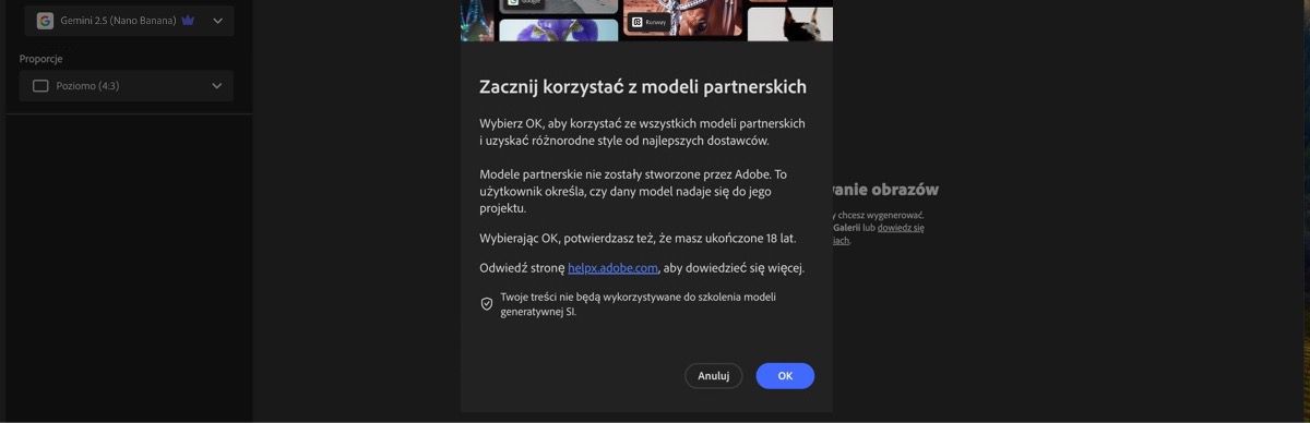 Okno Rozpocznij korzystanie z modeli partnerskich jest otwarte i masz możliwość kontynuowania lub anulowania.