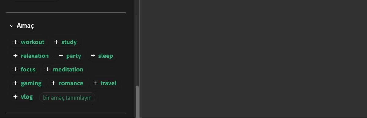 Amaç bölümü, egzersiz, çalışma, rahatlama, parti, uyku ve benzeri girişlerin listesini gösterir.
