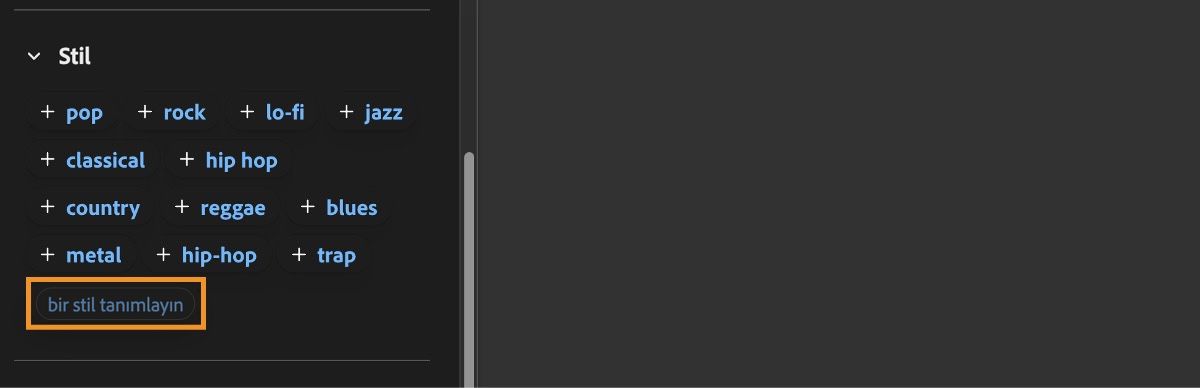 Stil bölümü, örnek girişlerin bir listesini ve sesin stilini tanımlamak için ek tanımlayıcılar girme seçeneğini gösterir.