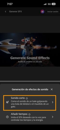 Puede elegir entre las opciones Sonido corto y Sonido sincronizado con su vídeo que hay disponibles. La opción Short Sound está seleccionada para generar un efecto de sonido utilizando una breve descripción de texto.