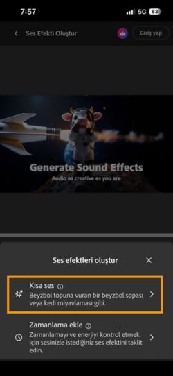 Kısa Ses ve Videonuzla zamanlanmış ses seçenekleri arasından seçim yapılabilir. Kısa bir metin açıklaması kullanarak ses efekti oluşturmak için Kısa Ses seçeneği belirlenmiştir.