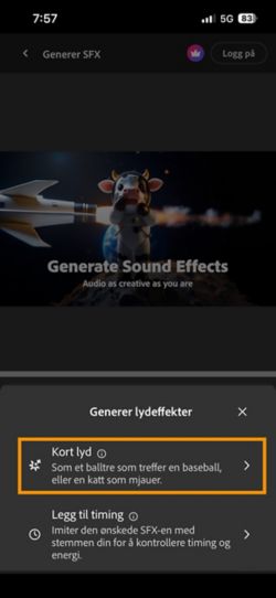 Du kan velge mellom alternativene Kort lyd og Timet lyd med videoen. Alternativet Kort lyd er valgt for å generere en lydeffekt med en kort tekstbeskrivelse.