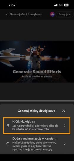 Dostępne są opcje Krótki dźwięk i Dźwięk zsynchronizowany z wideo. Opcja Krótki dźwięk jest wybierana w celu wygenerowania efektu dźwiękowego przy użyciu krótkiego opisu tekstowego.