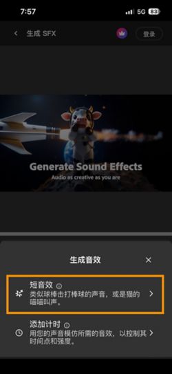 可以选择“短音效”和“与视频同步的音效”选项。 已选择“短音效”选项，可使用简短的文字描述生成音效。