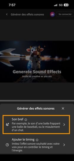 Les options Son bref et Son minuté avec votre vidéo sont disponibles. L’option Son bref est sélectionnée pour générer un effet sonore à l’aide d’une brève description textuelle.