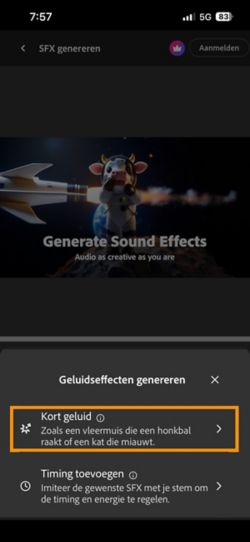 Je kunt kiezen uit de video-opties Kort geluid en Getimed geluid bij je video. De optie Kort geluid is geselecteerd om een geluidseffect te genereren aan de hand van een korte tekstbeschrijving.