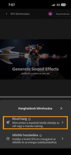 A Short Sound és a Timed sound with your video opciók közül lehet választani. A Rövid hang opció van kiválasztva, hanghatás létrehozásához rövid szöveges leírás használatával.