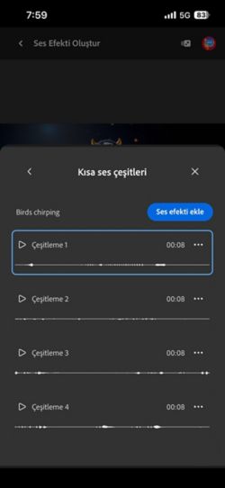 Kısa Ses Çeşitlemeleri seçeneği açık ve aralarından seçim yapılabilecek dört farklı oluşturulmuş çeşitleme mevcut. Ayrıca ses efektlerini zaman çizelgesine ekleme seçeneği de bulunuyor.