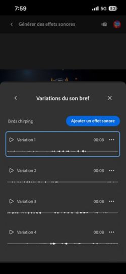 L’option Variations du son bref est ouverte, et quatre variations générées différentes sont proposées. Il y a également une option pour ajouter les effets sonores au montage.