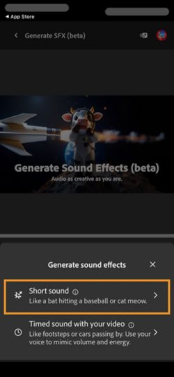 Puoi scegliere le opzioni Suono breve e Audio a tempo con il video. L'opzione Suono breve è selezionata per generare un effetto sonoro utilizzando una breve descrizione testuale.