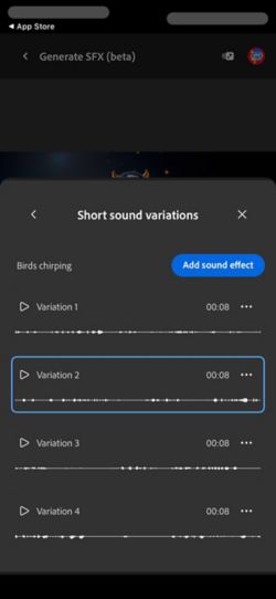 L’option Variations du son bref est ouverte, et quatre variations générées différentes sont proposées. Il y a également une option pour ajouter les effets sonores au montage.