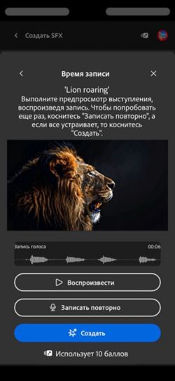 Экран «Время записи» показывает добавленное видео, текстовый запрос и параметры для проверки, записи или создания звуковых эффектов.