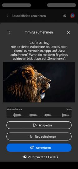 Der Bildschirm „Aufnahme-Timing“ zeigt das hochgeladene Video, eine Beschreibung und Optionen zum Prüfen, Aufnehmen oder Generieren von Soundeffekten an.