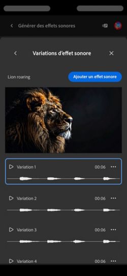 L’option Variations du son bref est ouverte, et quatre variations générées différentes sont proposées. Il y a également une option pour ajouter les effets sonores au montage.