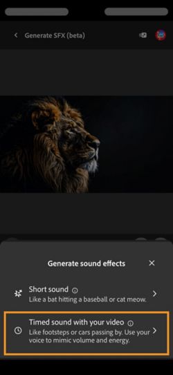 Genera effetti sonori ha due diverse opzioni e Audio a tempo con il video è selezionata tra le opzioni disponibili.