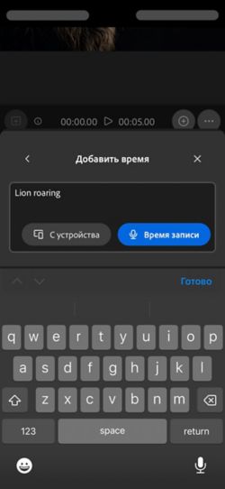 «Синхронизированный звук и видео» включает текстовый запрос с параметрами для добавления аудиофайла с устройства или записи напрямую в веб-приложении.