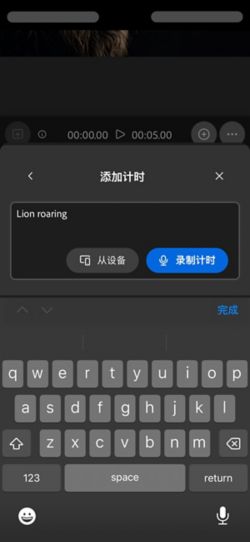 在“与视频同步的音效”模式下，提示栏中会提供相关选项，让您可以从设备上传音频文件或直接在 Web 应用程序中录制音频。