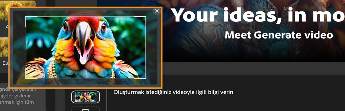 Fare küçük resmin üzerine getirildiğinde daha büyük bir önizleme görüntüsü görüntülenir. Önizleme üzerindeki imleç kırpma aracını etkinleştirir ve tutamaçları kullanarak kırpmayı ayarlamanıza olanak tanır.