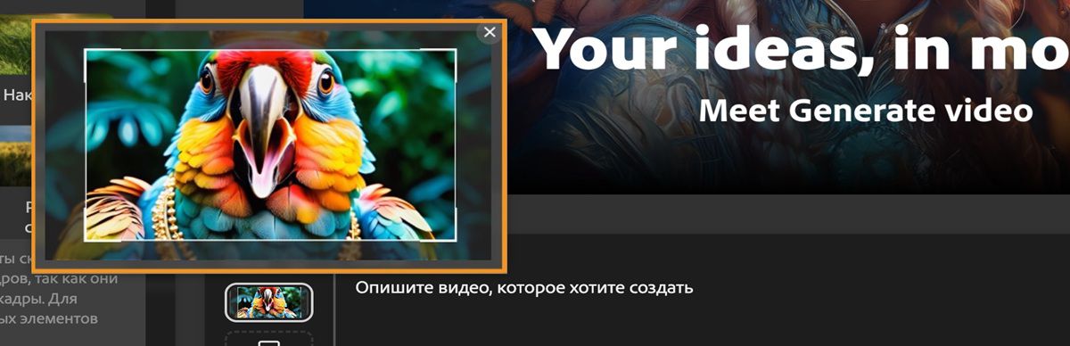 Наведите курсор мыши на миниатюру, и отобразится изображение предварительного просмотра большего размера. Курсор в области предварительного просмотра активировал инструмент «Обрезка», который позволяет корректировать обрезку с помощью маркеров.