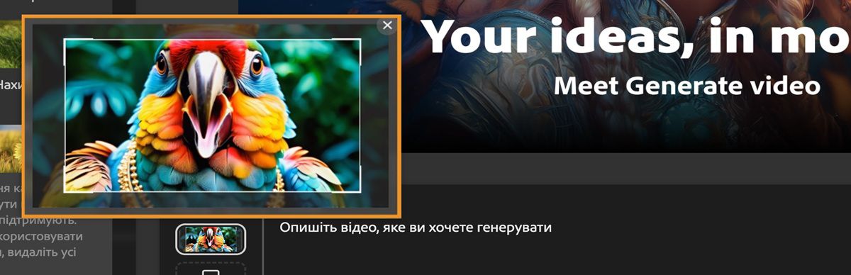 Указівник миші наведено на ескіз, а у вікні попереднього перегляду відображається збільшене зображення. Указівник на вікні попереднього перегляду активував інструмент кадрування, у якому можна налаштувати кадрування за допомогою маркерів.