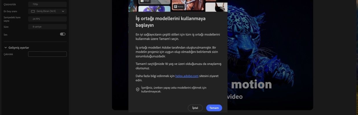 İş ortağı modellerini kullanmaya başlama bölümü açık ve devam etme veya iptal etme seçeneği görüntüleniyor.