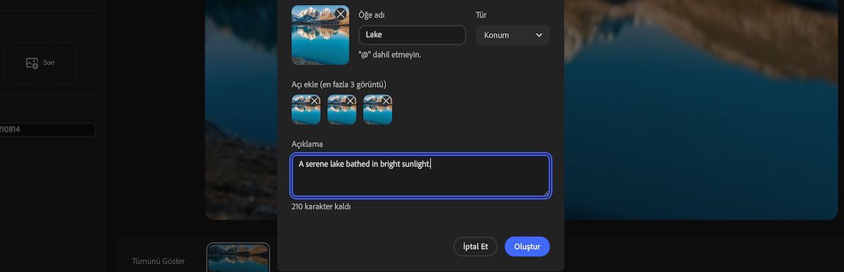 Öğe türü seçimi, eklenen açı görüntüleri ve açıklama alanına eklenen açıklamayı gösteren Yeni Öğe paneli.
