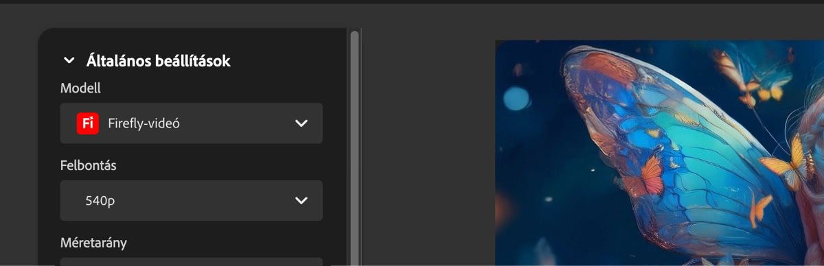 Az Általános beállítások szakaszban a Modell opció alatt a Firefly videó van kiválasztva.