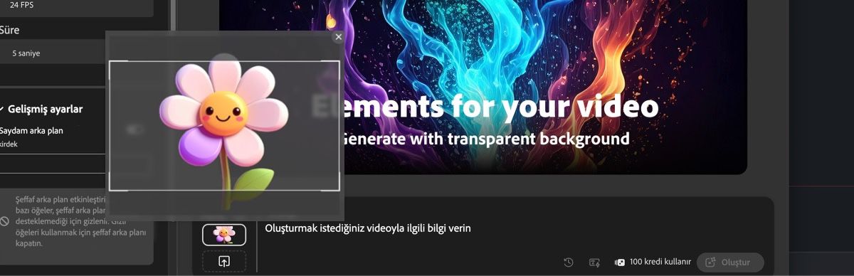 İlk kare görseli eklenmiştir ve video oluşturmak için bir metin istemi vardır.