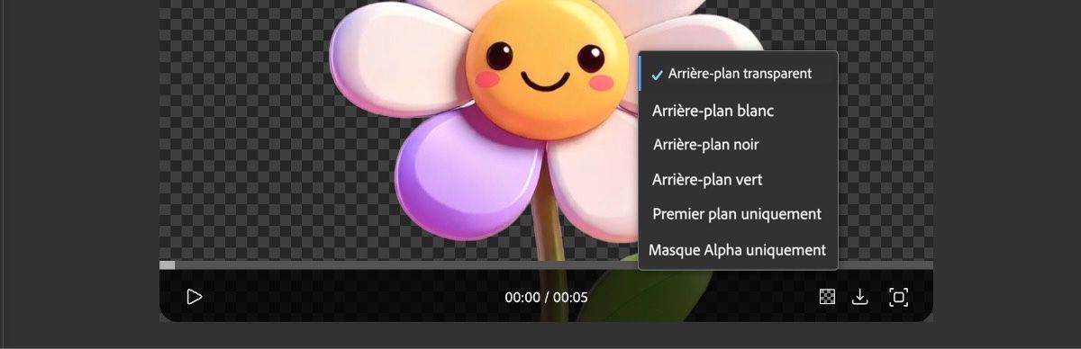 Dans la section Aperçu, vous pouvez choisir comment visualiser la vidéo avec un arrière-plan transparent. Les styles disponibles incluent des arrière-plans blanc, noir et vert pour aider à visualiser la transparence.