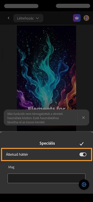 A Speciális szakasz nyitva van, és az Átlátszó háttér opció be van kapcsolva a háttér nélküli videó létrehozásához.