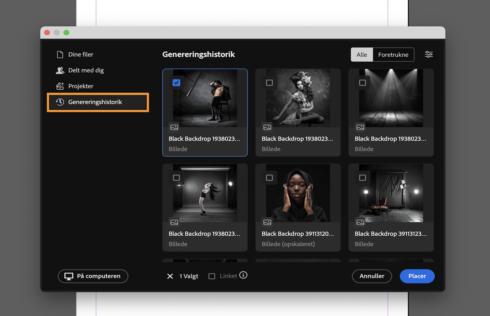 Vælg et aktiv fra genereringshistorikken