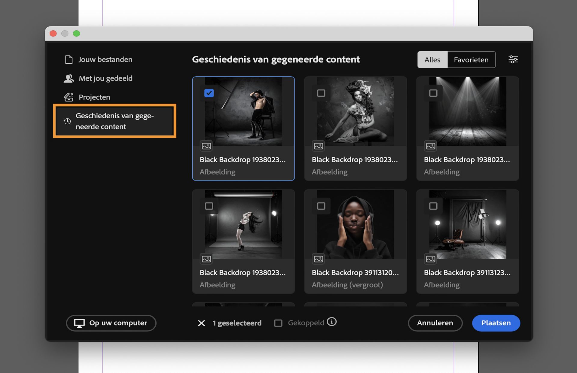 Selecteer een asset uit de Generatie Historie