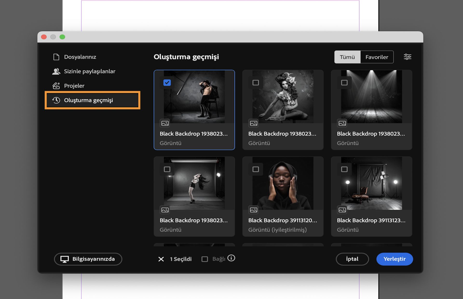 Oluşturma geçmişinden bir varlık seçin