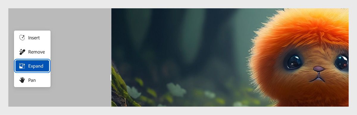 An image from the control menu lists options such as Insert, Remove, Expand, and Pan. Currently, the Expand option is selected.