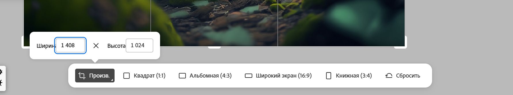 Выбран параметр «Настройка», в полях «Ширина» и «Высота» добавлены значения в пикселах. Можно сбросить добавленный формат и добавить текстовый запрос.