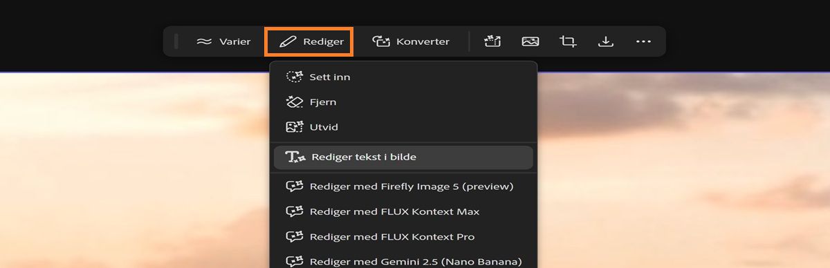 På lerretet er et bilde markert, og fra Rediger-alternativet er Rediger tekst i bilde uthevet.