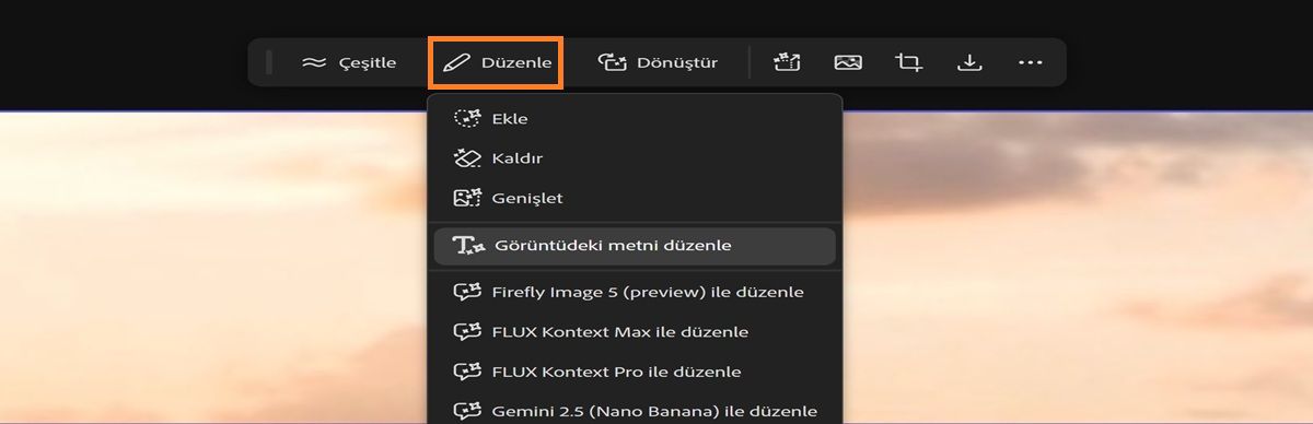 Tuvalde bir görüntü seçili ve Düzenle seçeneğinde &quot;Görüntüdeki metni düzenle&quot; vurgulanmış durumda.