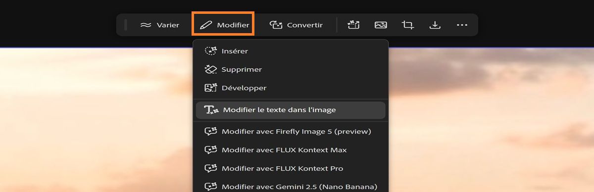 Une image est sélectionnée dans la zone de travail, et dans l’option Modifier, l’option Modifier le texte dans l’image est mise en surbrillance.