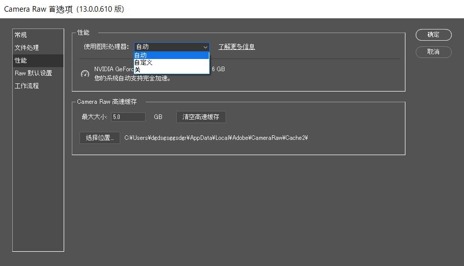 Camera Raw 首选项对话框中的 GPU 设置