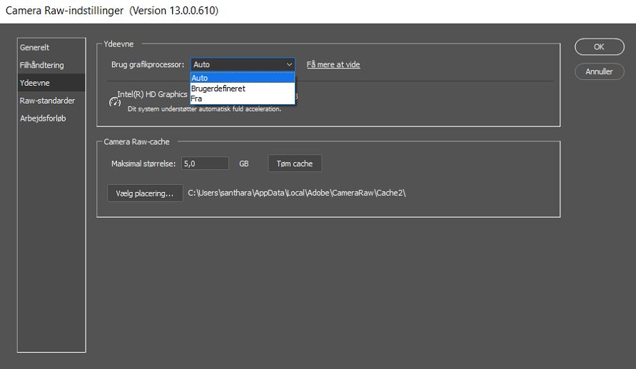GPU-indstillingen i dialogboksen Camera Raw-præferencer