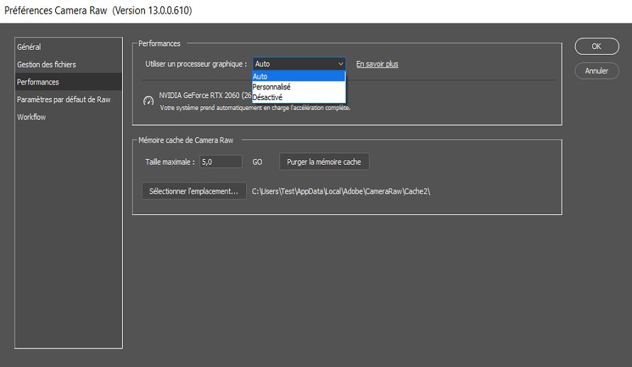 Paramètre GPU dans la boîte de dialogue Préférences de Camera Raw