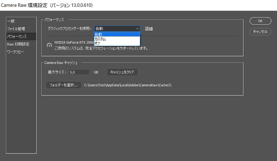 Camera Raw 環境設定ダイアログボックス内の GPU 設定