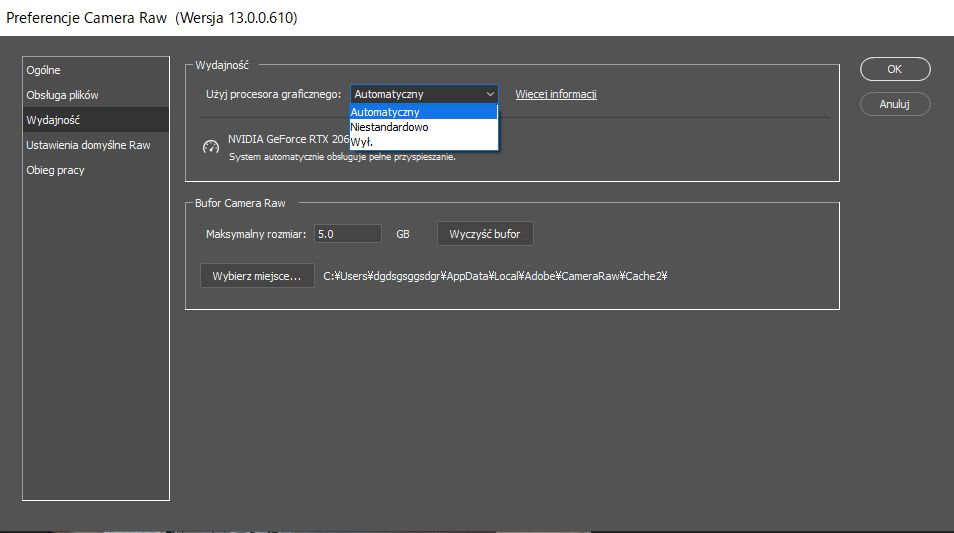 Konfiguracja procesora graficznego w oknie dialogowym Preferencje modułu Camera Raw