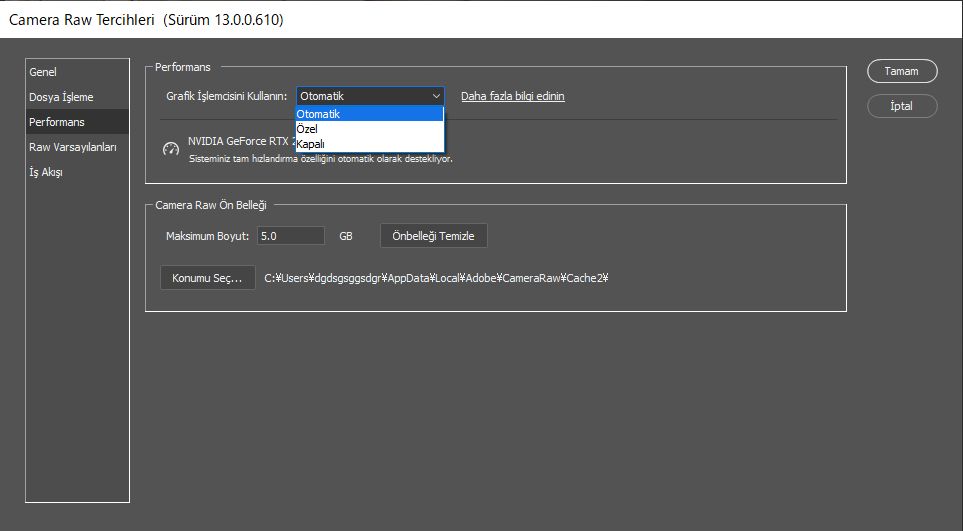 Camera Raw Tercihleri iletişim kutusunda bulunan GPU ayarı