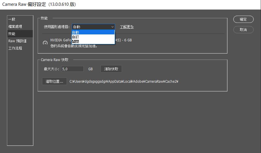 Camera Raw 偏好設定對話方塊中的 GPU 設定