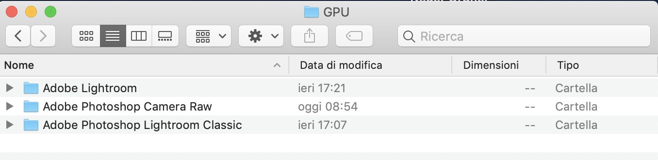 Ogni applicazione che usi con l’accelerazione GPU ha la sua cartella.