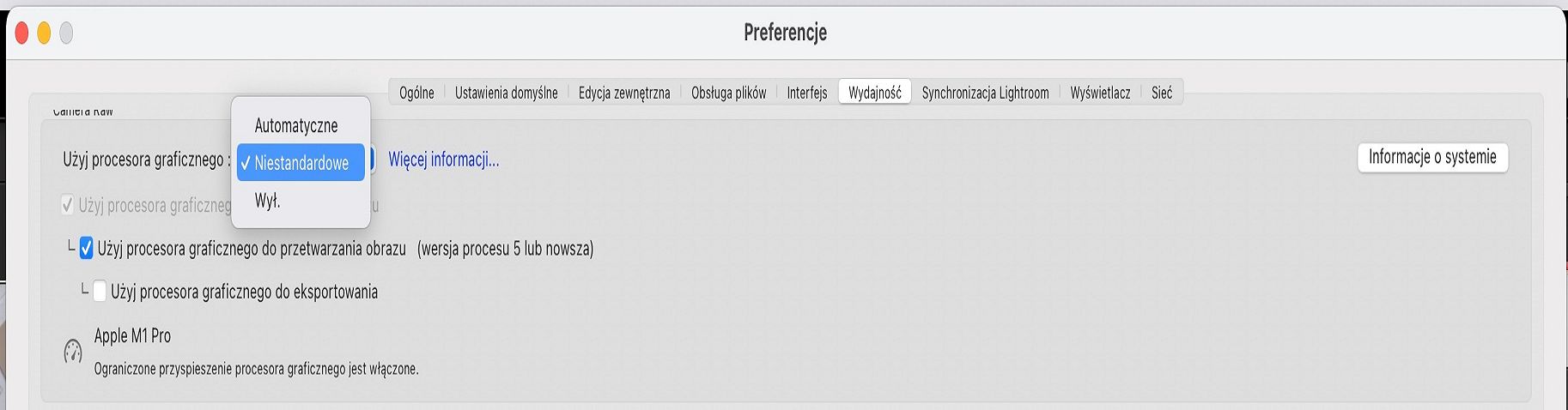 Użyj procesora graficznego