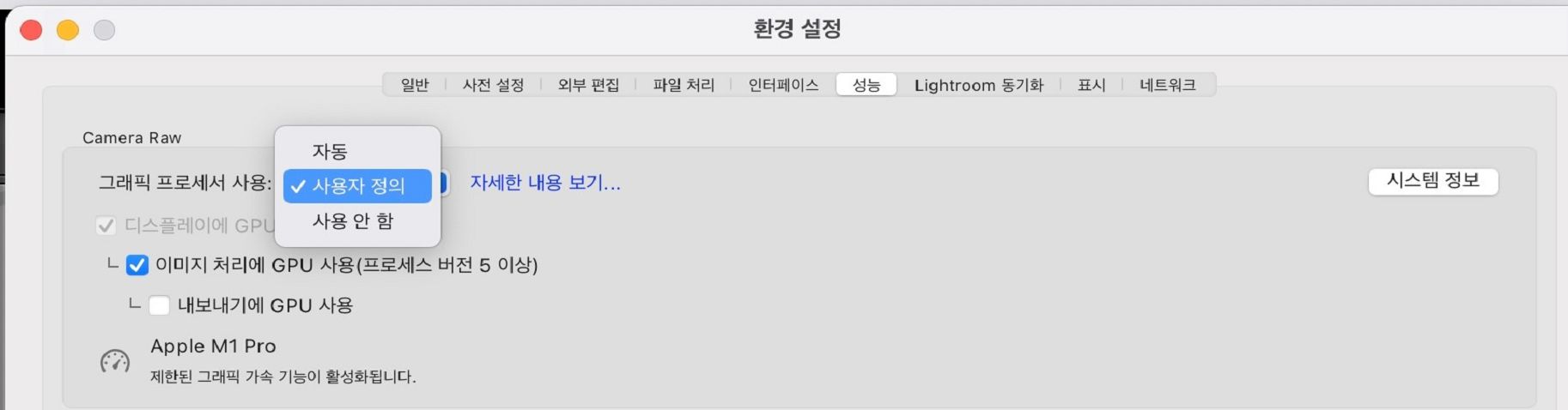 그래픽 프로세서 사용