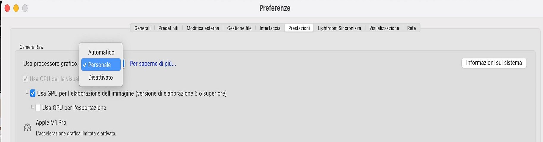 Usare processore grafico