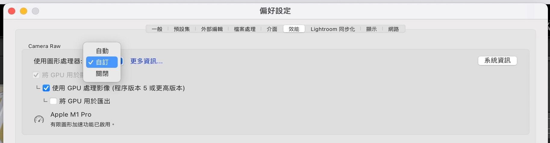 使用圖形處理器